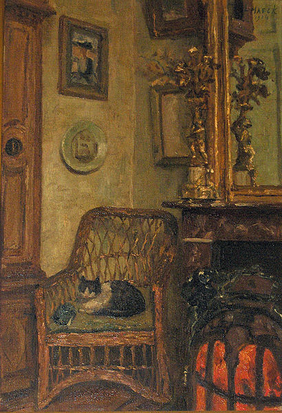 Interior with sleeping cat